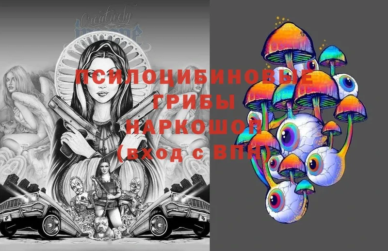 Псилоцибиновые грибы Cubensis  Красноуфимск 